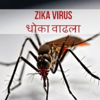 Zika Virus